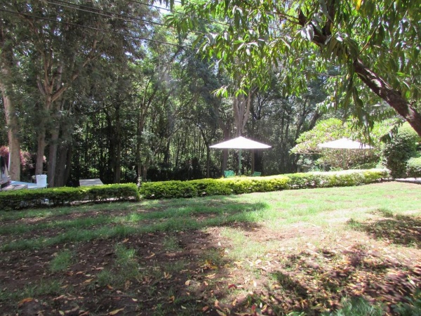 Equator Hotel image 24