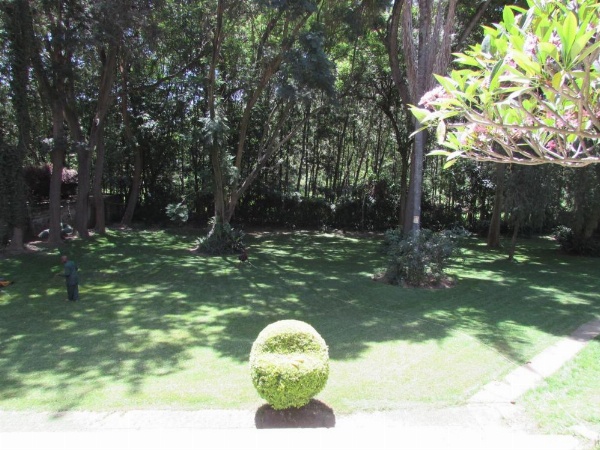 Equator Hotel image 29