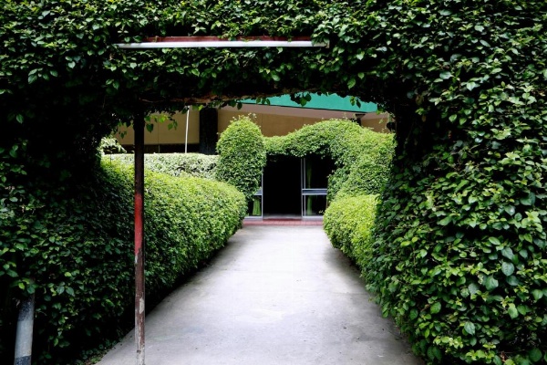 Equator Hotel image 8